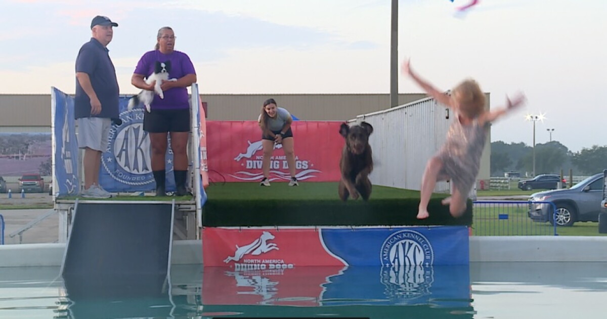 Treasure Coast Kennel Club brings four days of dog sports to Fort Pierce fairgrounds